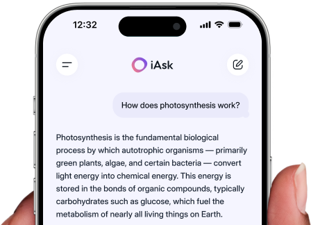 Phone Image Container